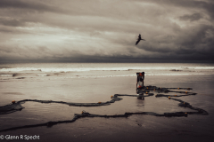 020421-215-Enhanced-SR