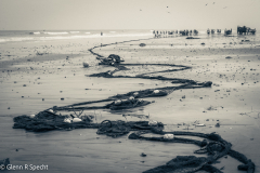 San Clemente Ecuador