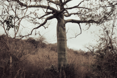San Clemente Ecuador