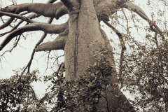 San Clemente Ecuador