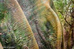 San Clemente Ecuador