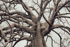 San Clemente Ecuador