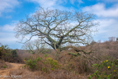 San Clemente Ecuador