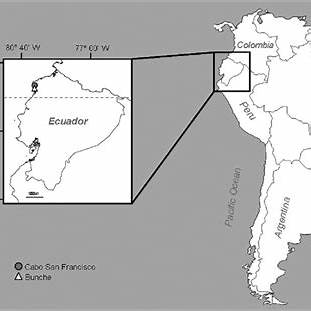 https://www.researchgate.net/publication/236654710/figure/fig2/AS%3A667686652612622%401536200311592/Map-of-Ecuador-indicating-the-sampling-sites-Bunche-and-Cabo-San-Francisco-Beaches.png